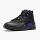 Nike Air Jordan 12 Retro Dark Concord AJ Shoes