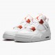 Nike Air Jordan 4 Retro Metallic Orange AJ Shoes