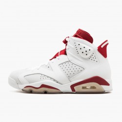 Nike Air Jordan 6 Retro Alternate AJ Shoes