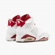 Nike Air Jordan 6 Retro Alternate AJ Shoes