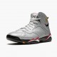 Nike Air Jordan 7 Retro Reflections of A Champion AJ Shoes